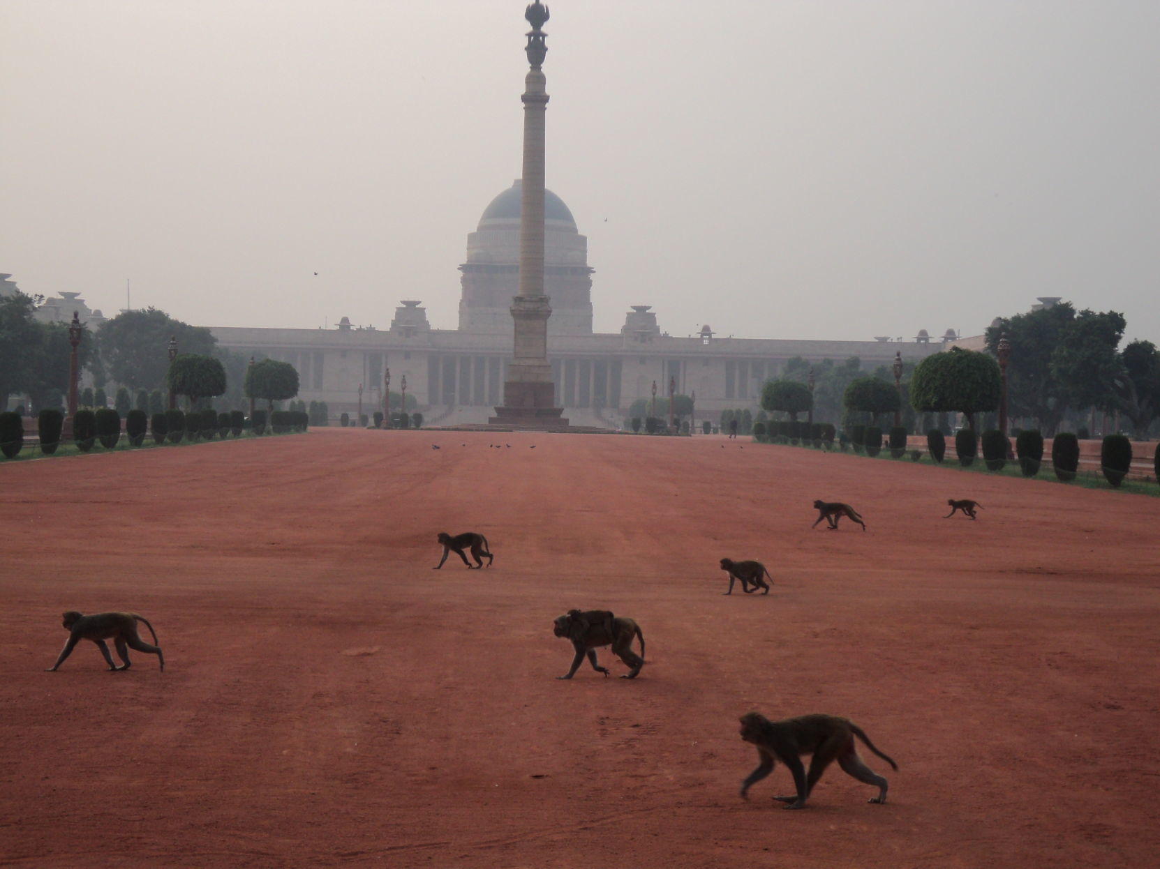 Delhi Presidential Palace